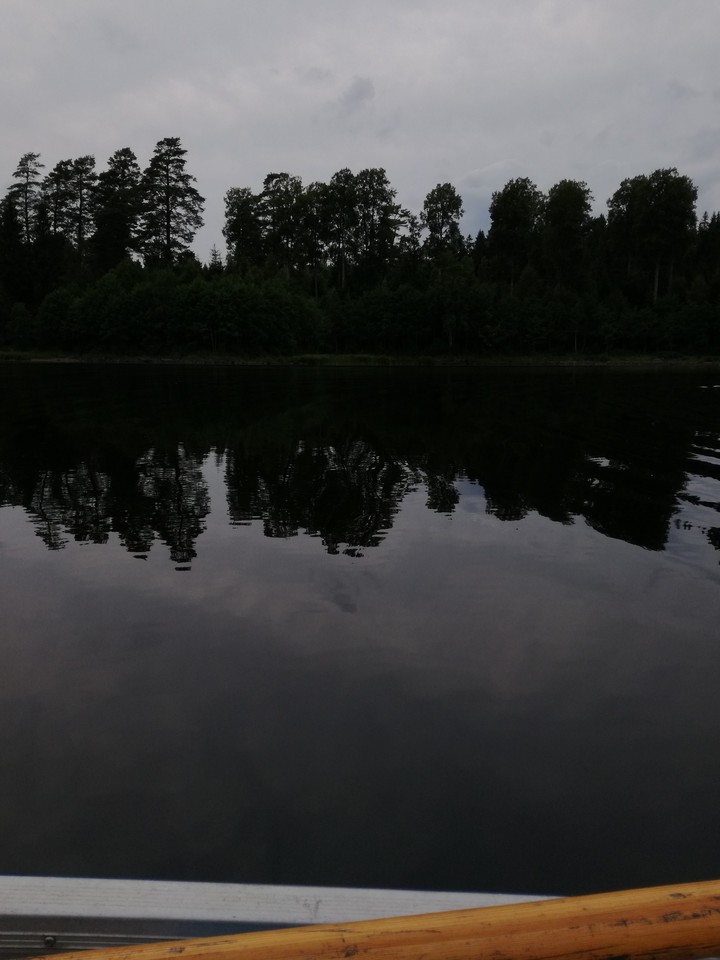 mit den Schweden