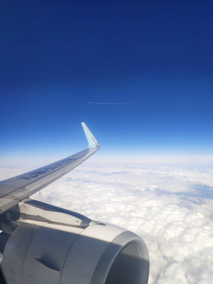 Flight