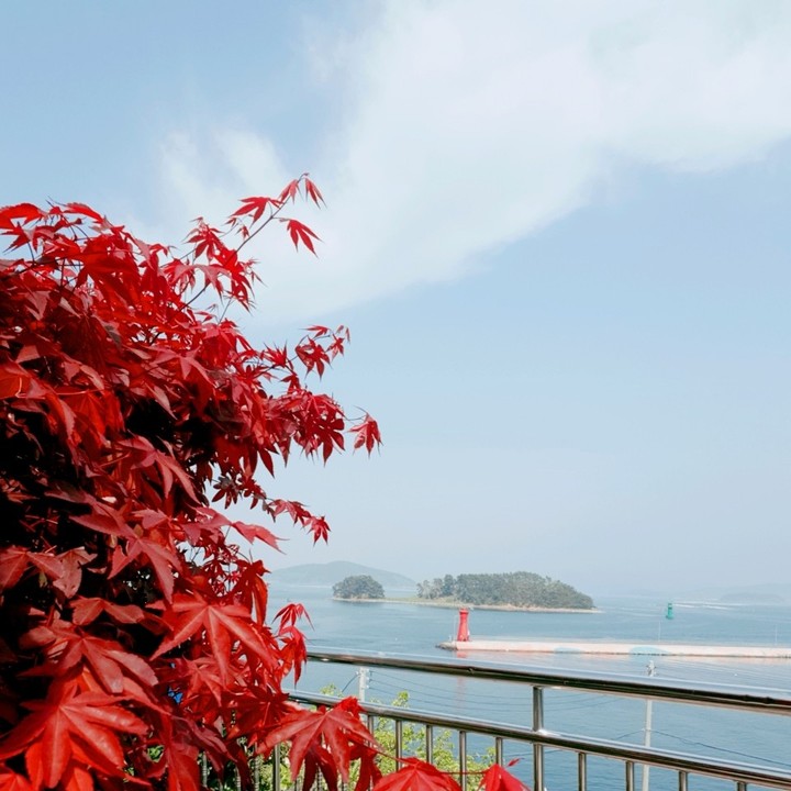 거제도