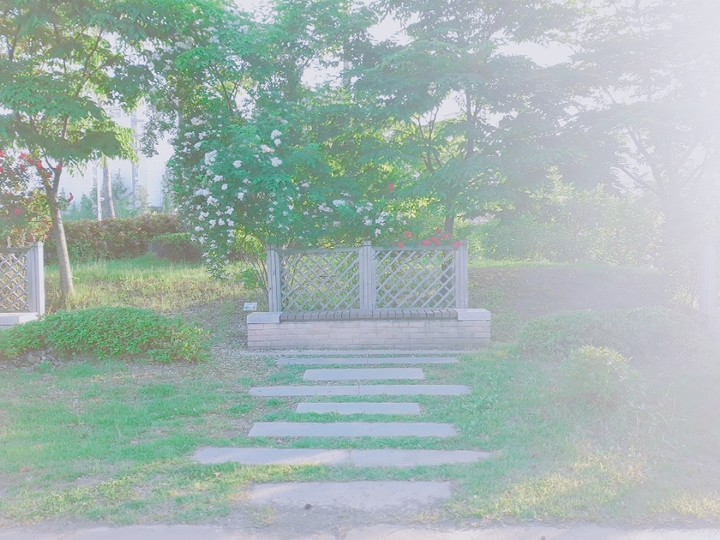 장미와 하얀꽃이 있는 벤츠