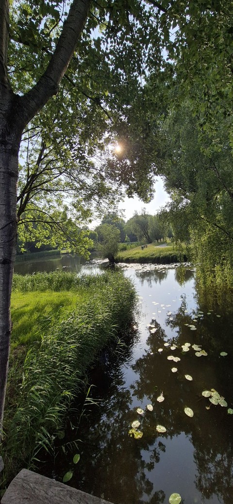Water, nature wallpapers
