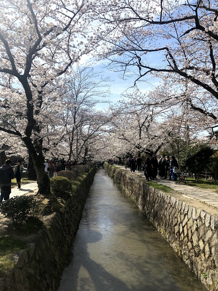 kyoto