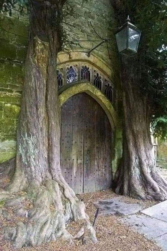 The Door