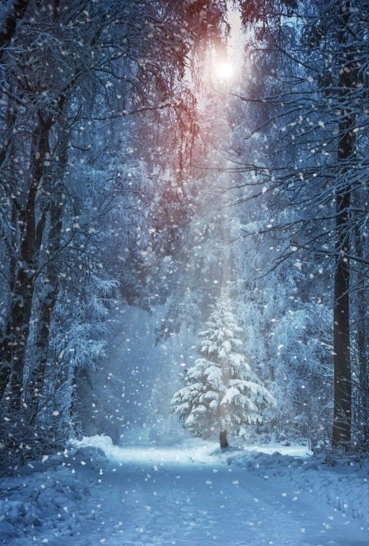 Winter