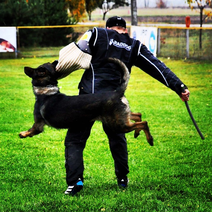 iposport