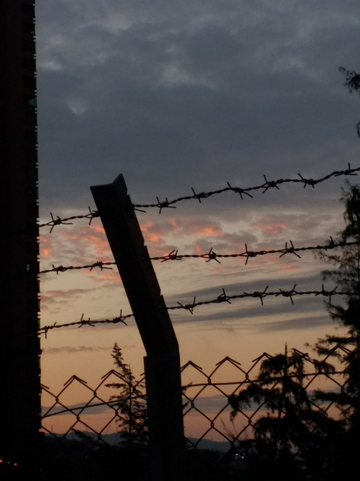 in the evening