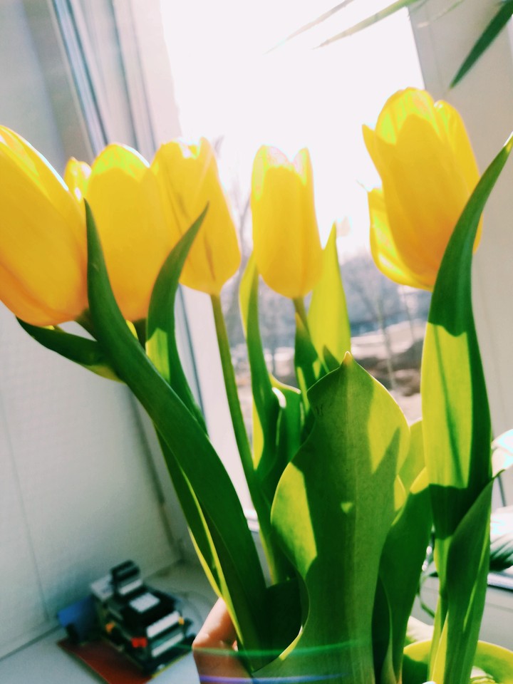 march
