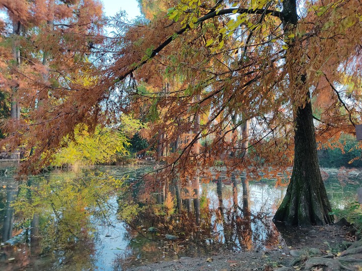 Autumn