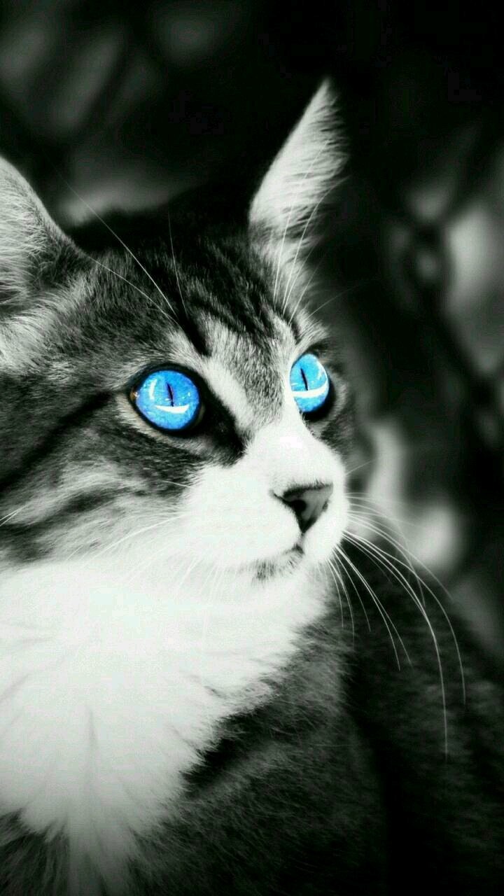 blue eyes