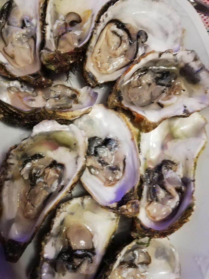 ostriche