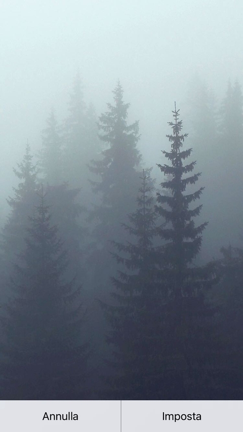 inverno
