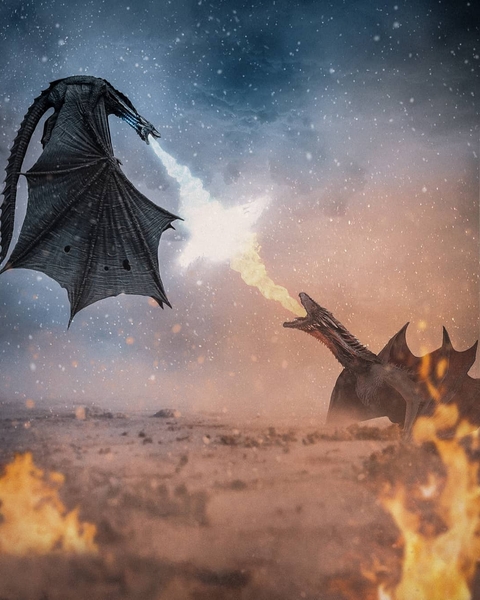 Dragons