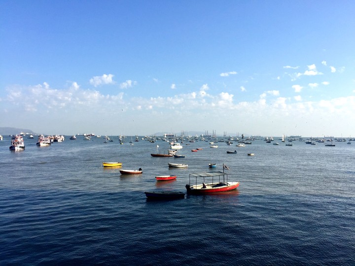 The Port