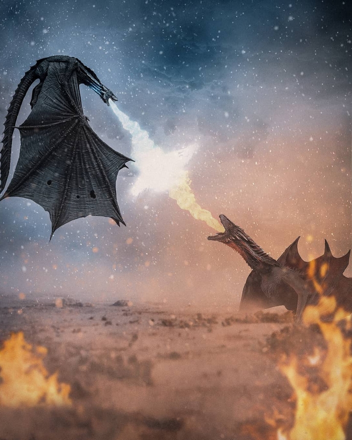 Dragons