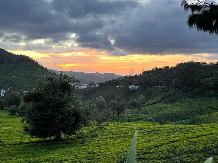 .