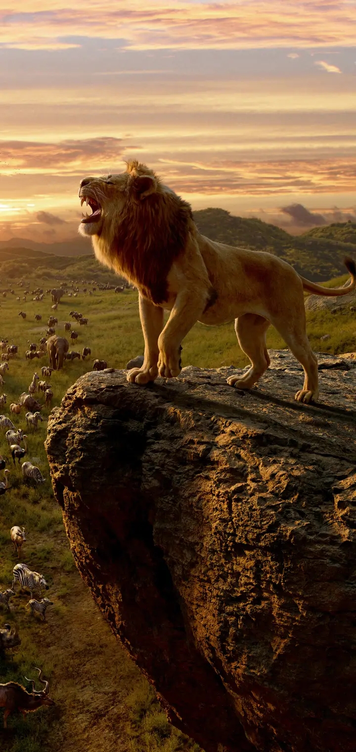 simba