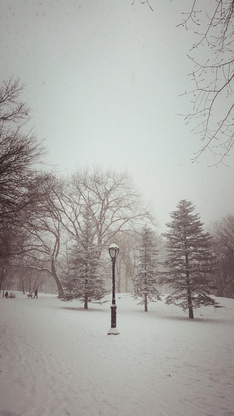 Winter NYC