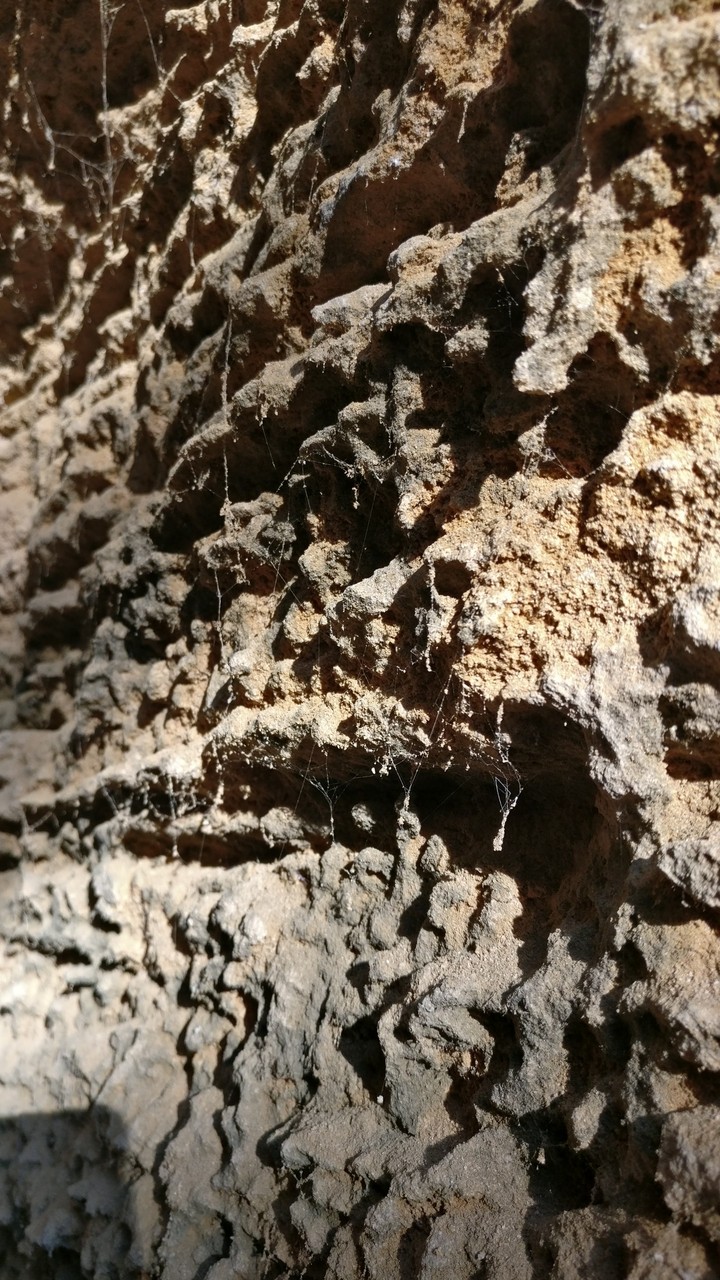 alone stone