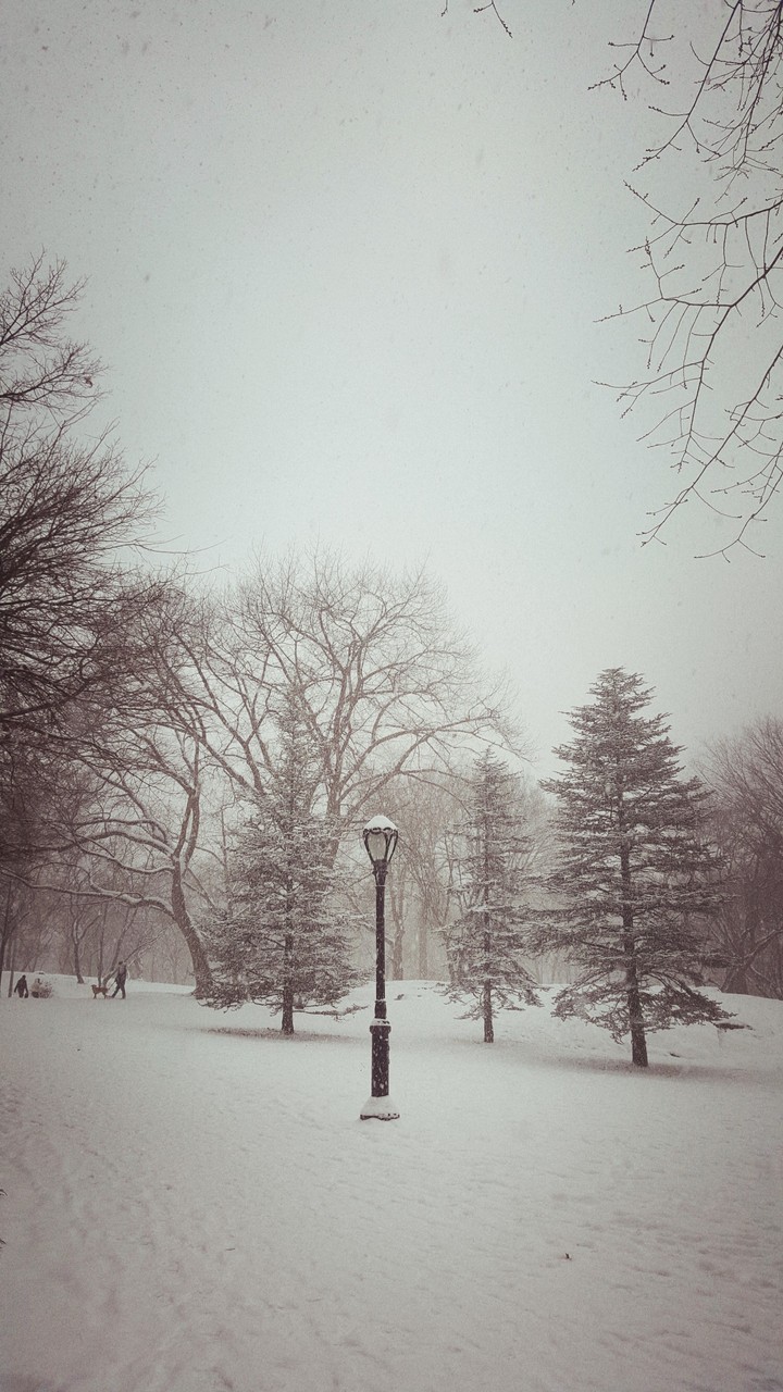 Winter NYC