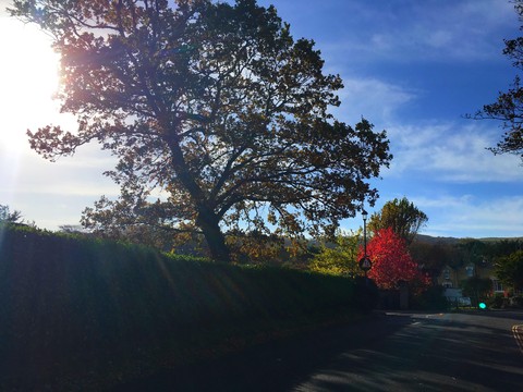 Road