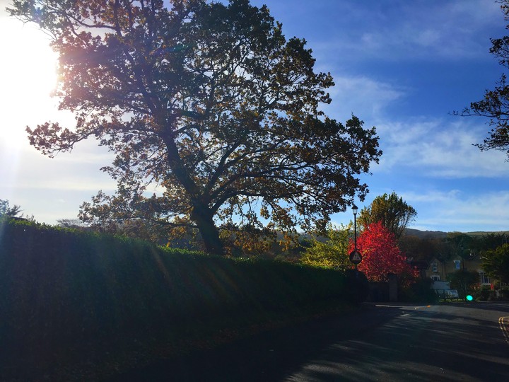 Road