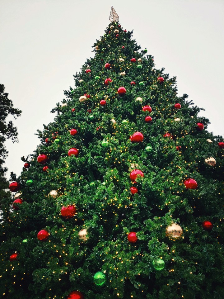 Christmas Tree