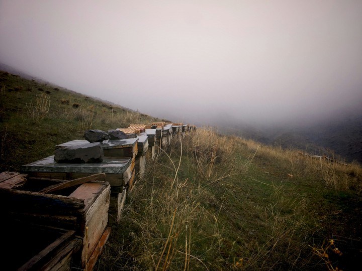 fog