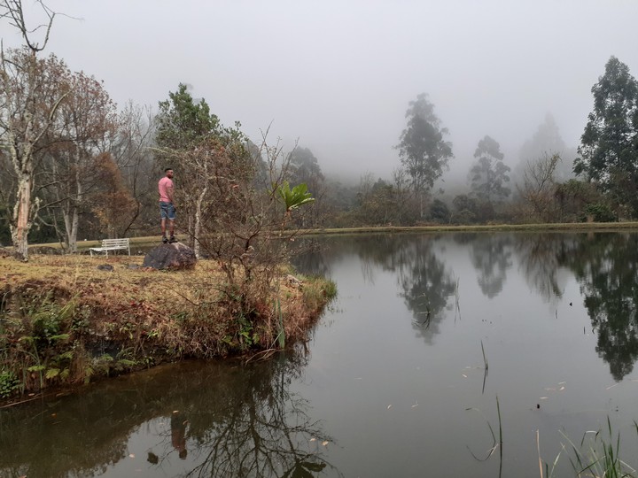 lake mist