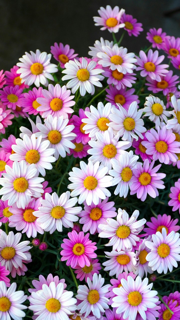 ❤
