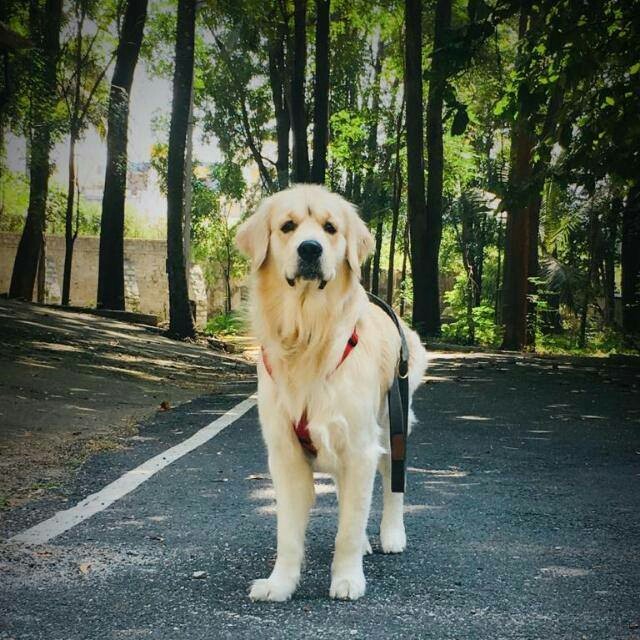 #Nofilter