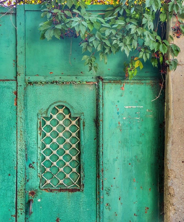 The secret garden
