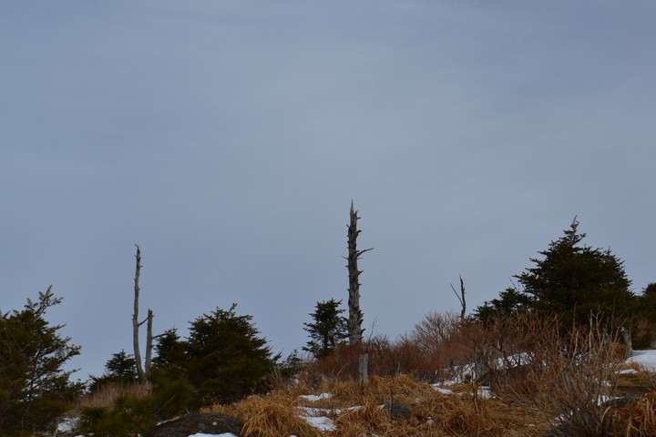 지리산이미지