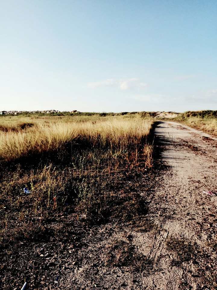 field