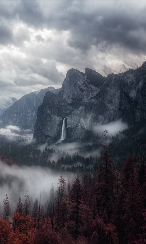 The Haze