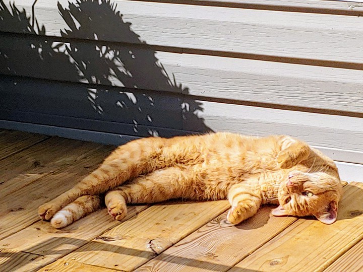loving the Sun