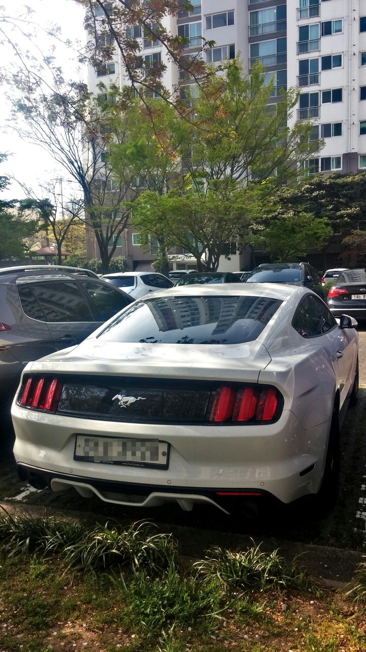 FORD MUSTANG 2.3 EcoBoost