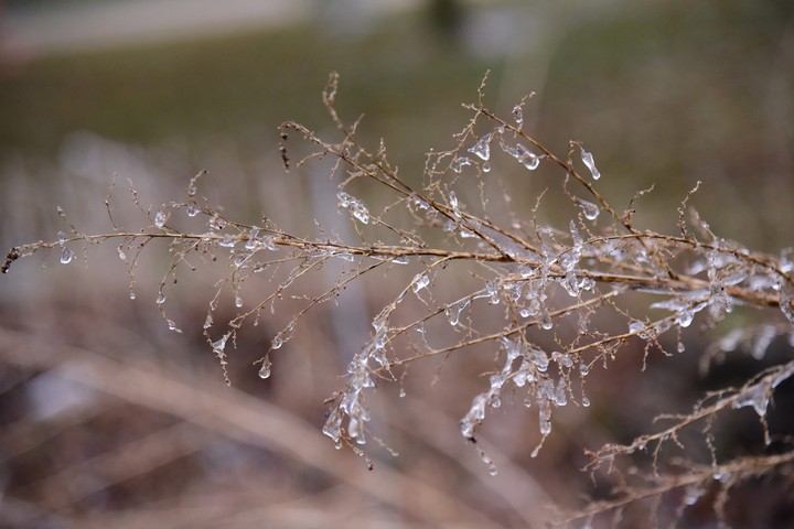 Ice Storm