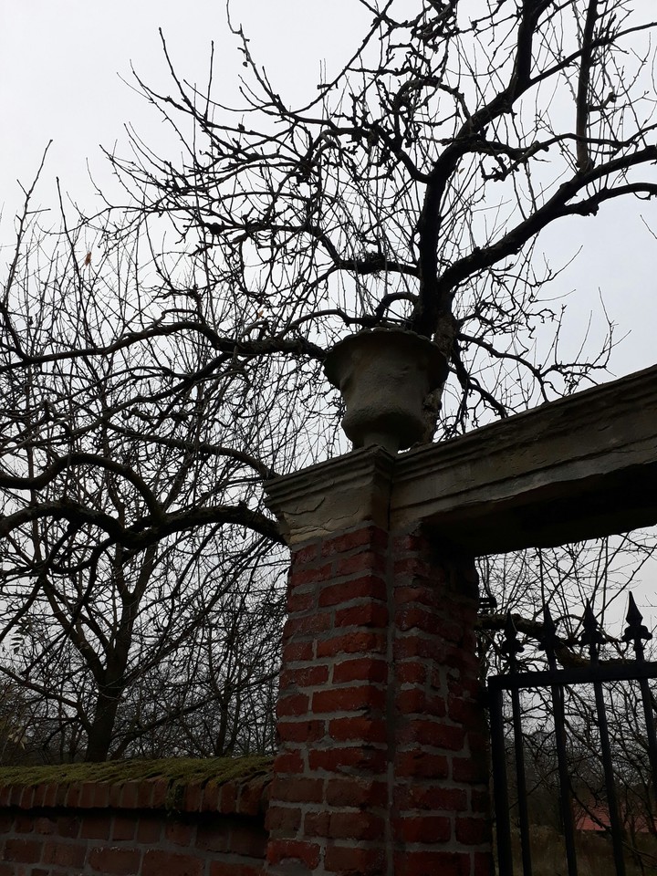 cold garden