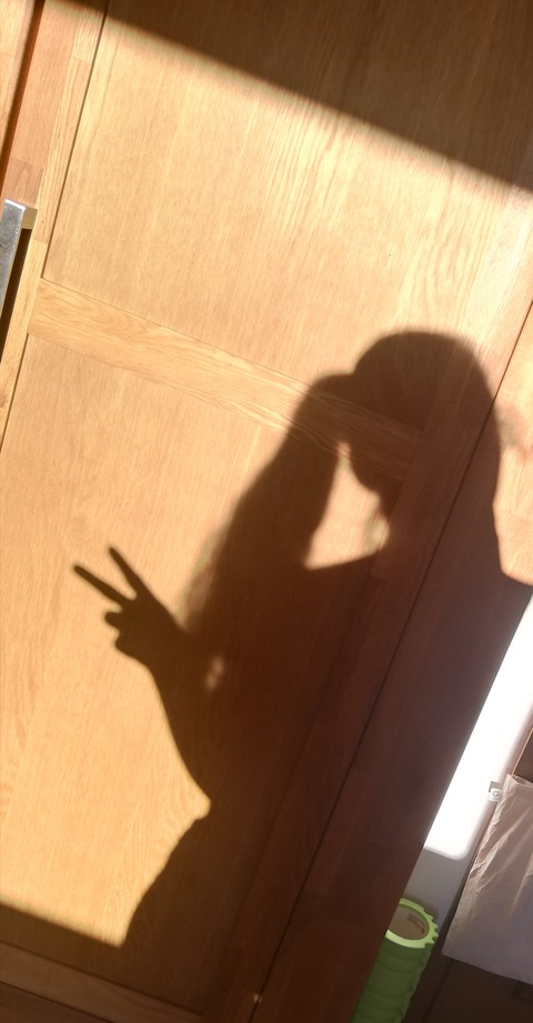 selfshadow