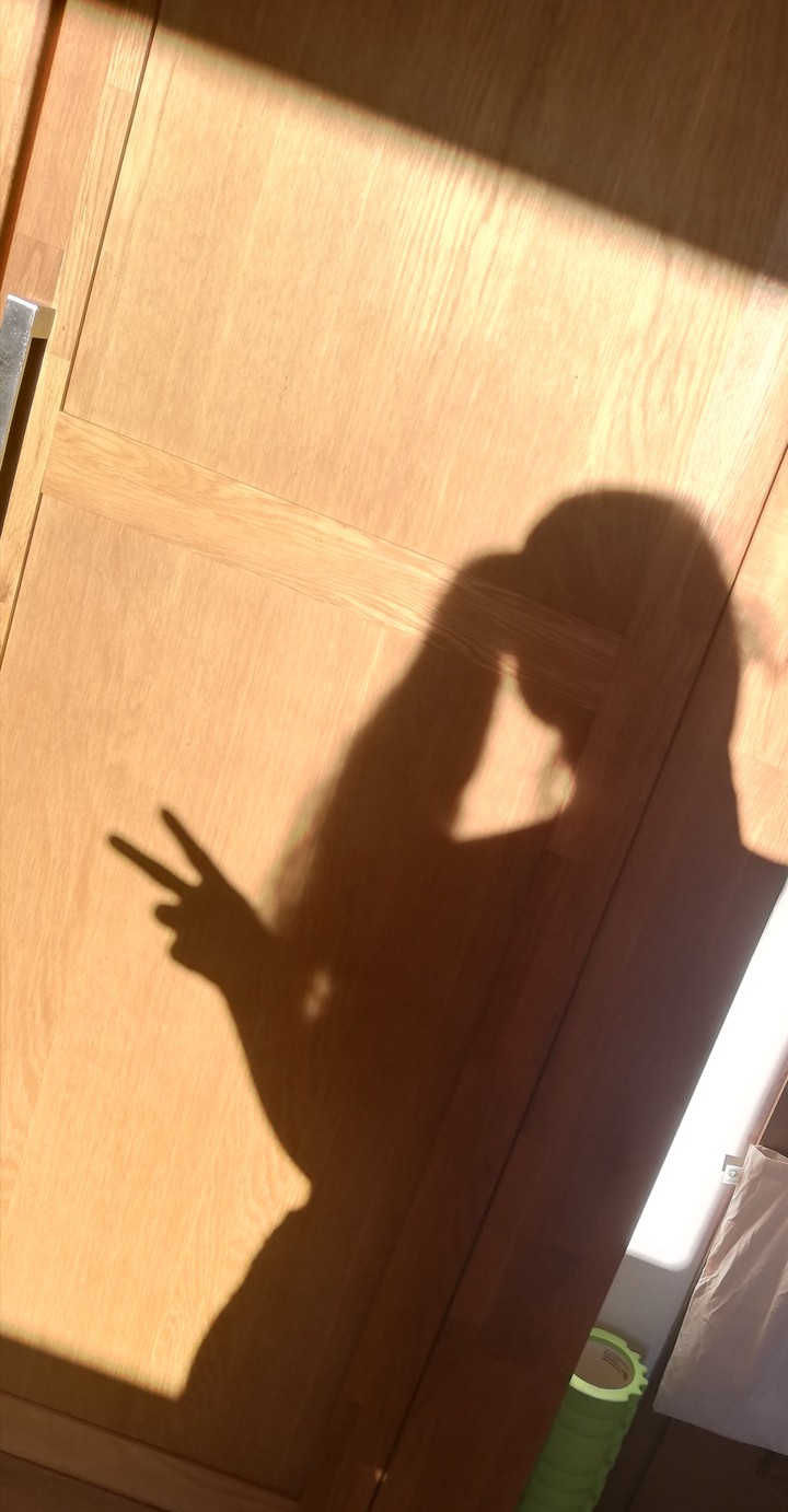 selfshadow