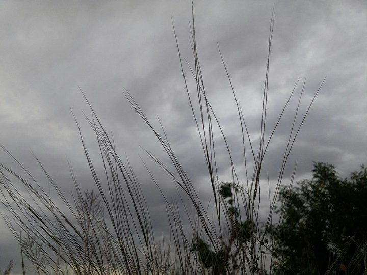 cloudy weather
