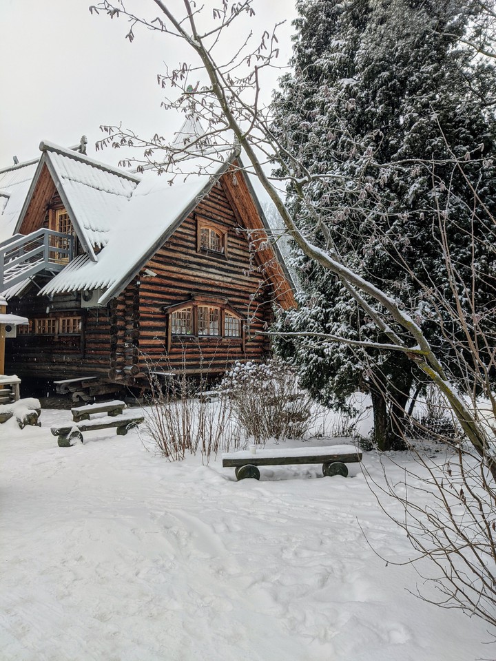 winter wonderland