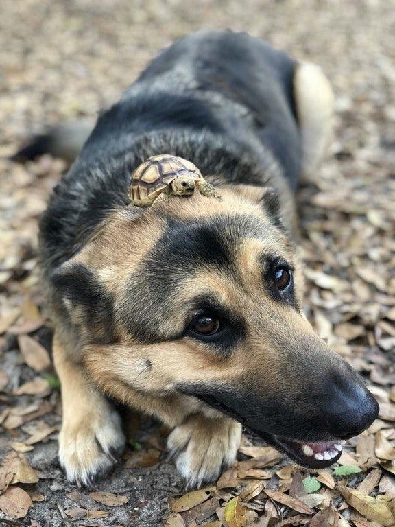 Friends