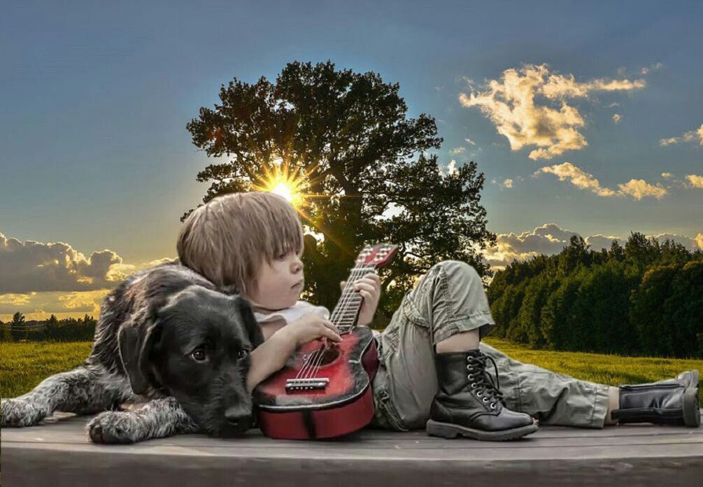 sfondi pointer, photography