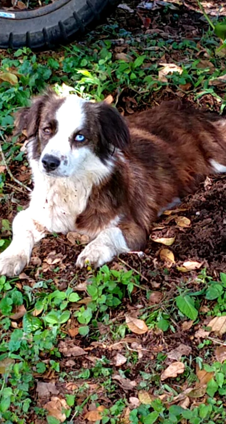 .