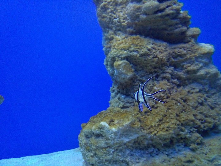 Underwater