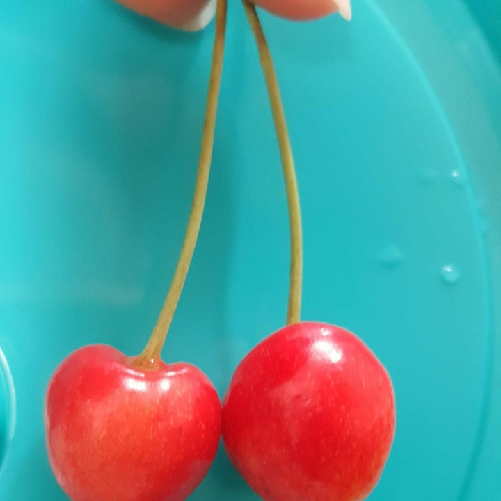 love cherry