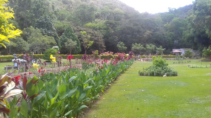 Green Nature