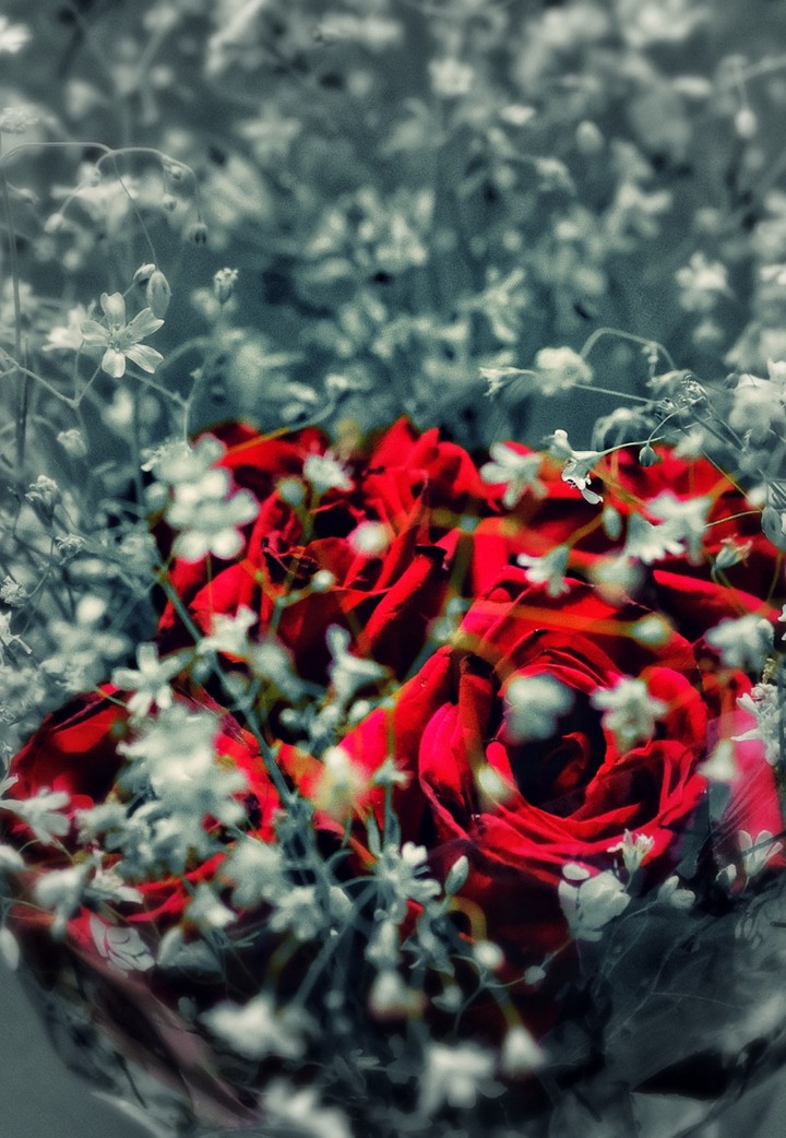 V day coming sooon...￣０￣