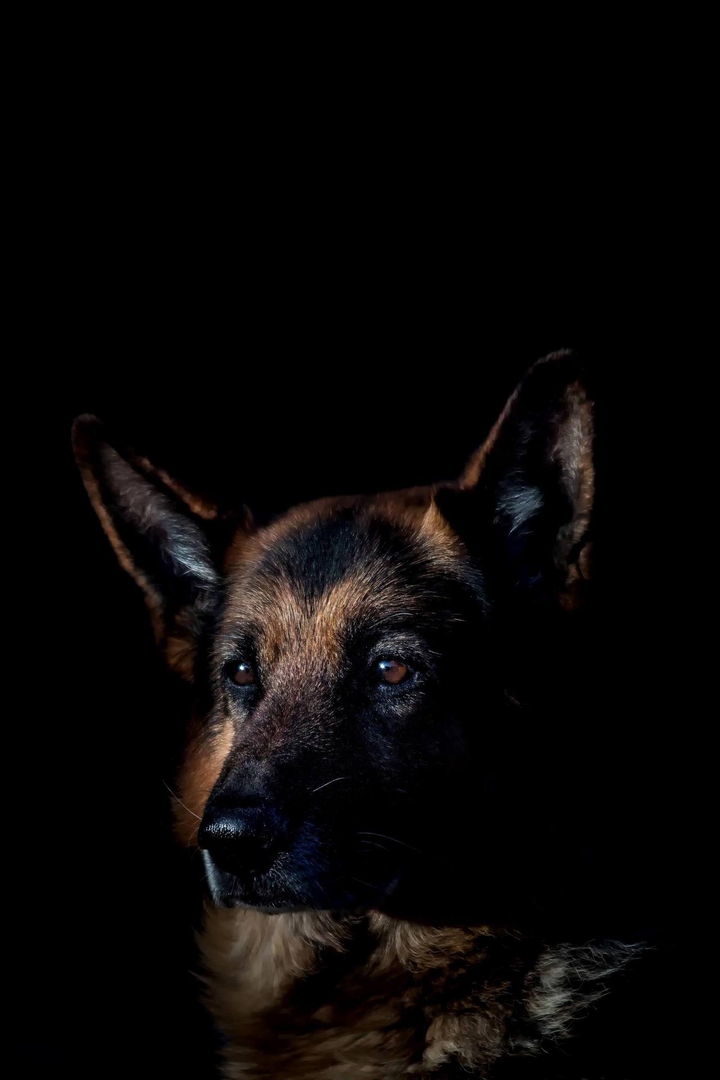 -
